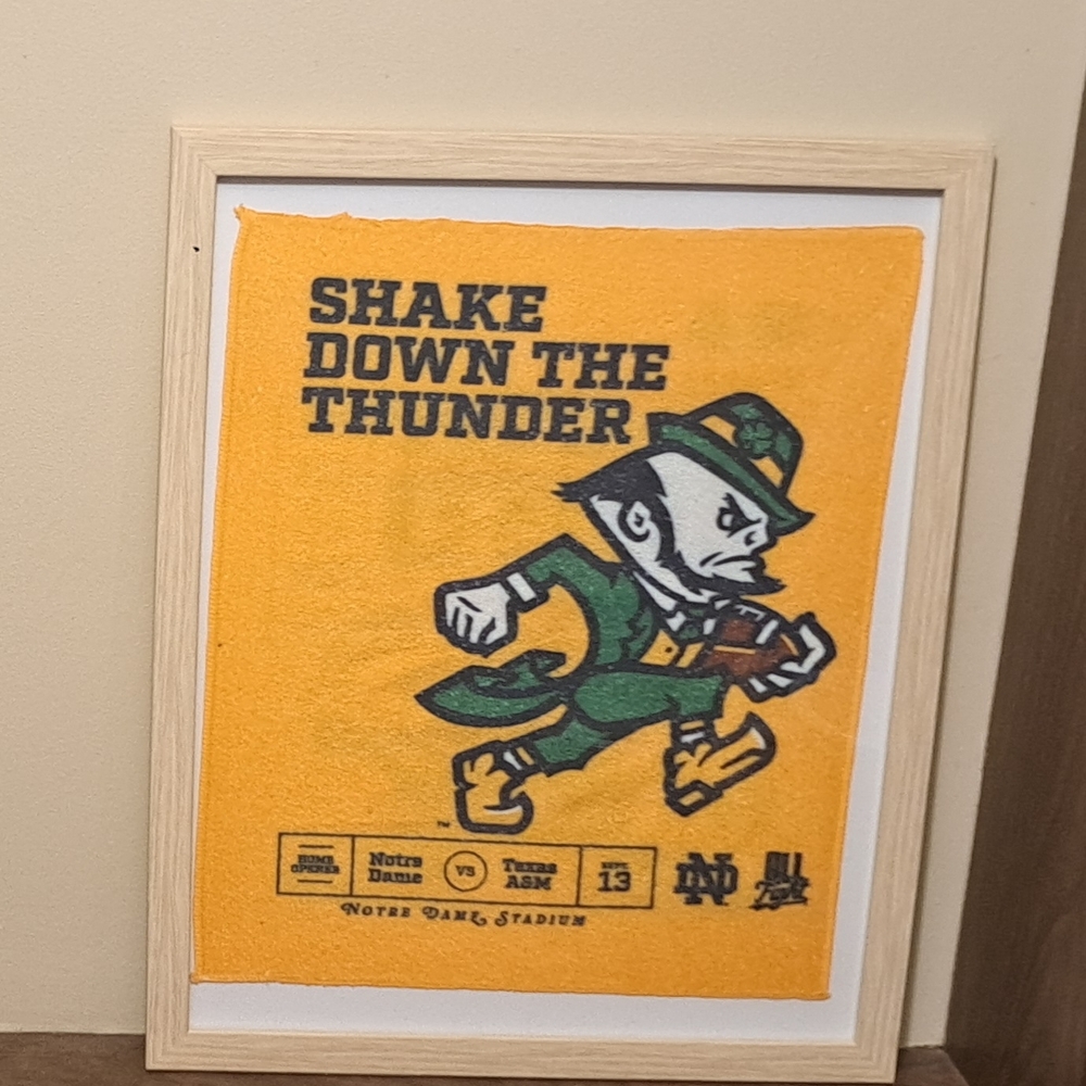 Fighting Irish Framed Art - Green and Gold